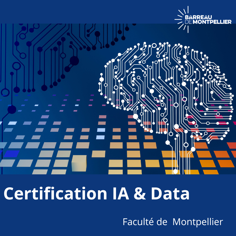 Certification-IA-&-Data.png