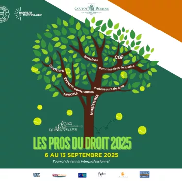 Tournois de tennis interprofessionnel